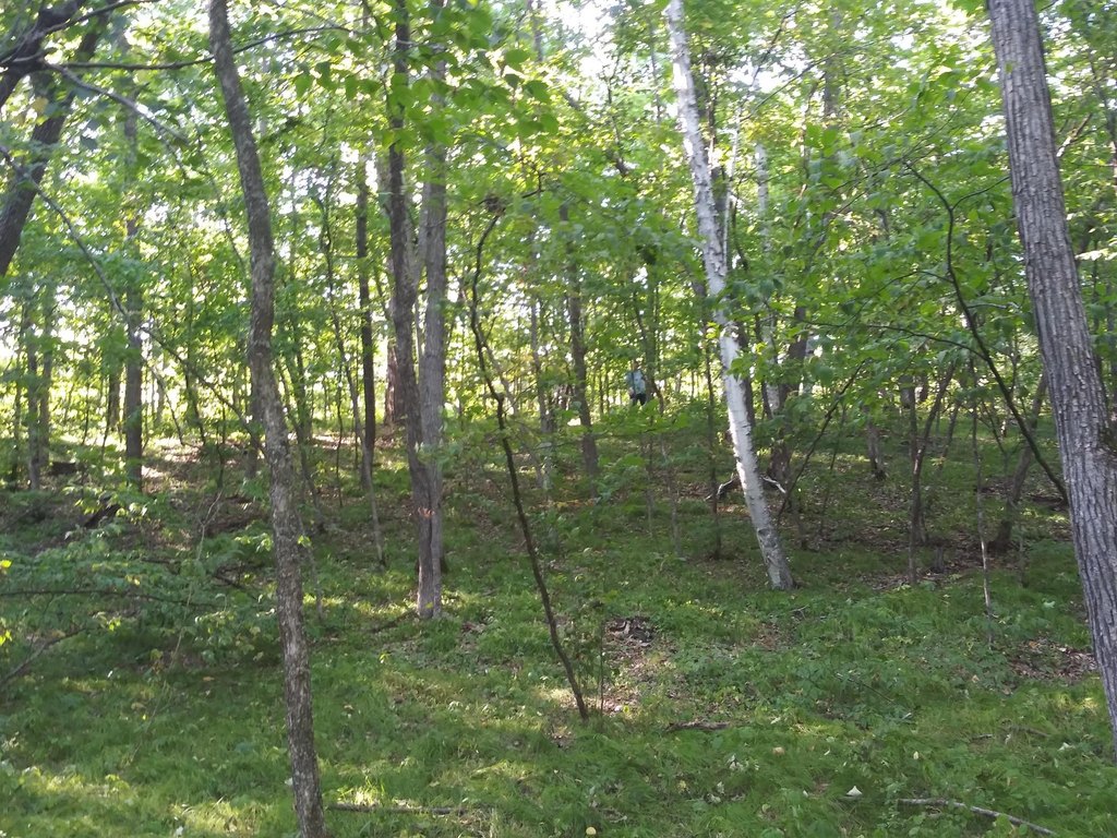 Picture 7