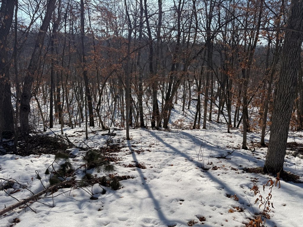 Picture 42