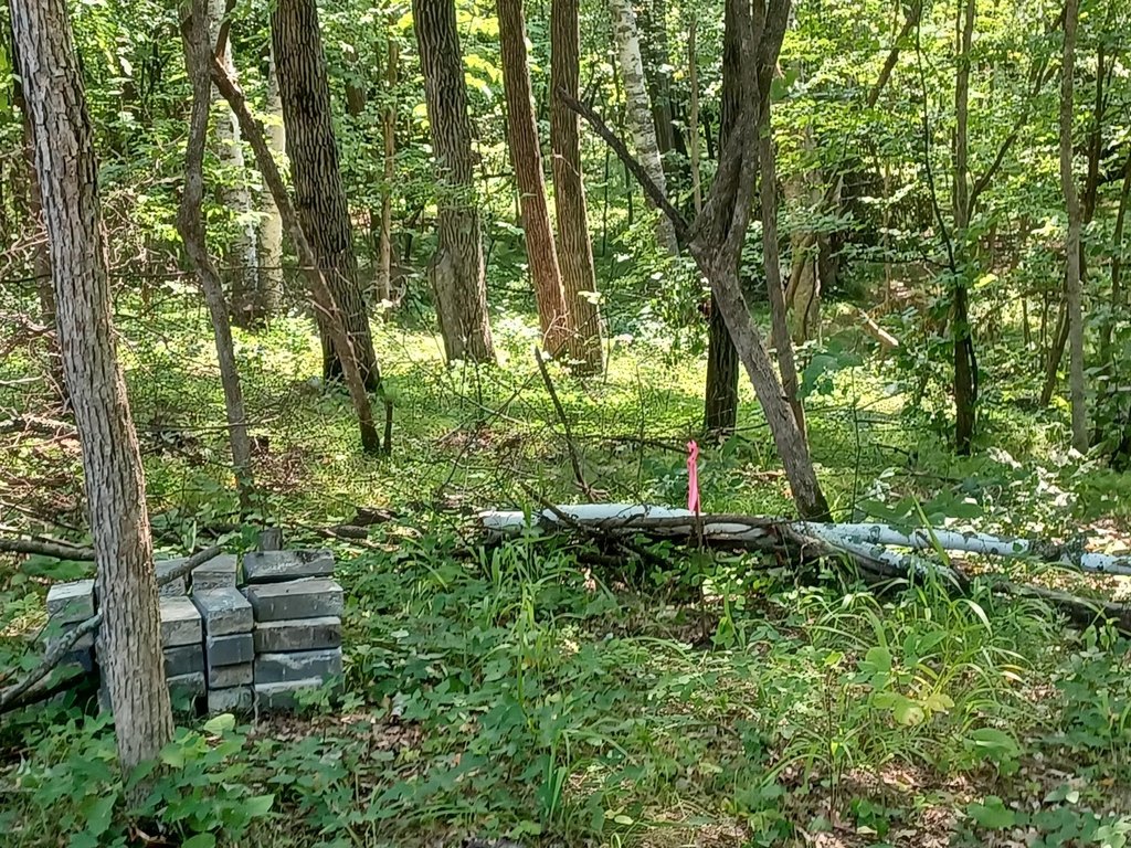 Picture 10