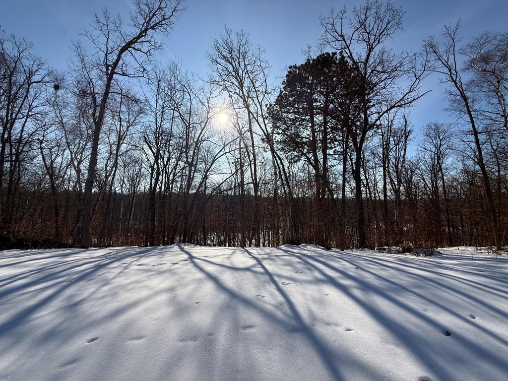 Picture 43