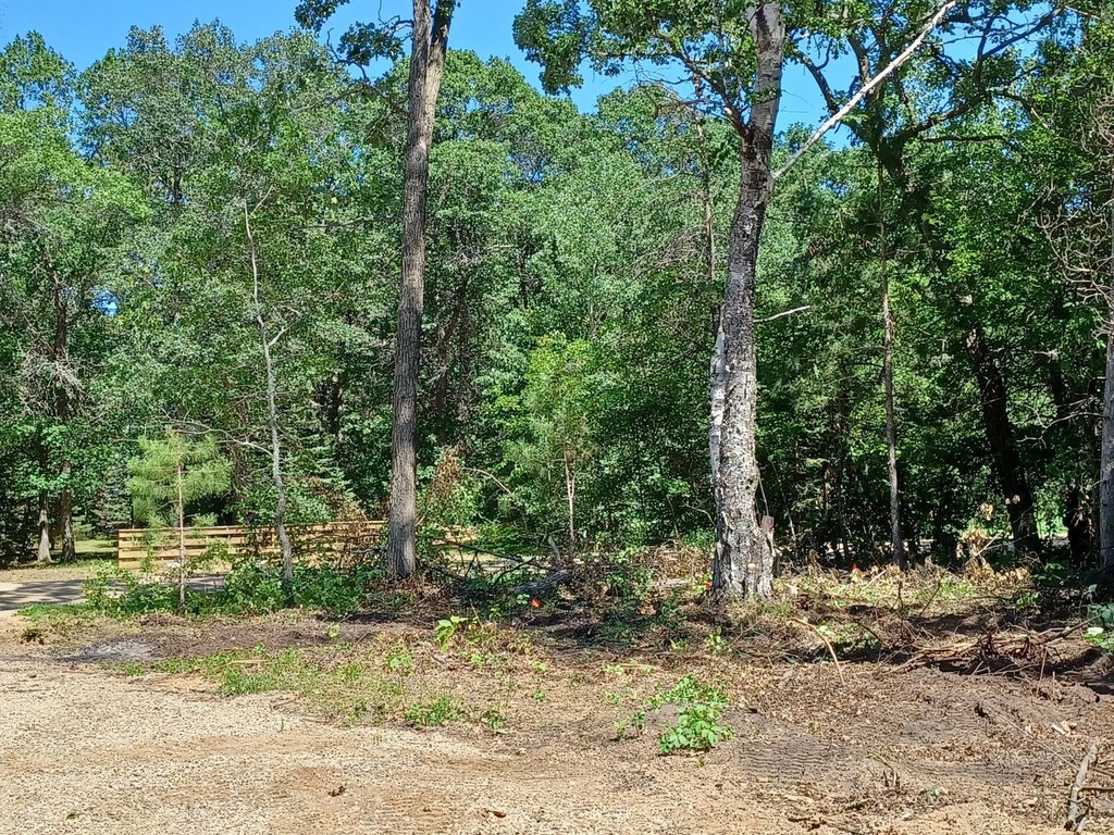 Picture 8
