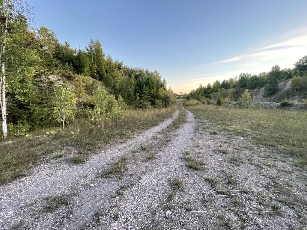 Picture 6