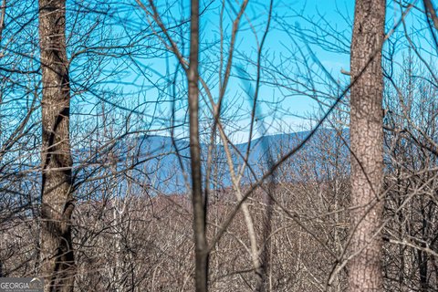 Ellijay Land in Gated Community