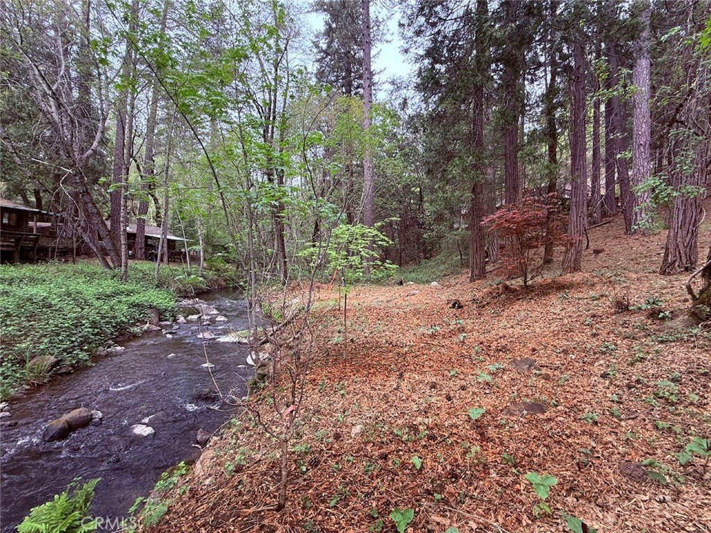 Picture 13
