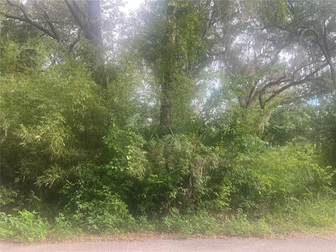 Vacant Residential Lot in R3