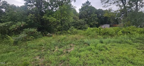 Forsyth County Land Auction Opportunity