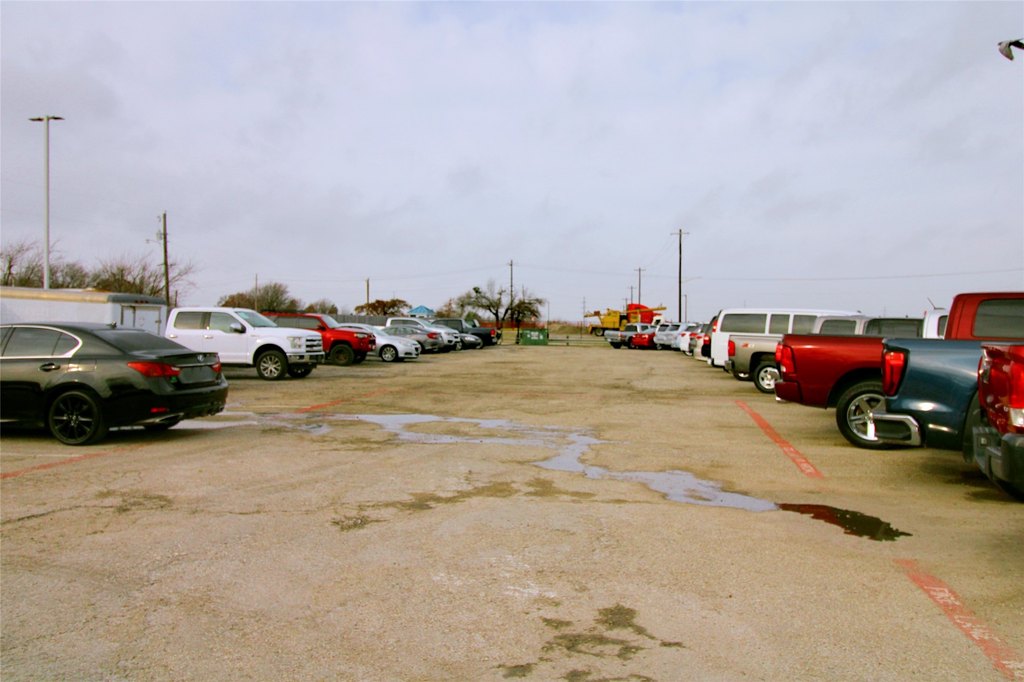 Picture 21