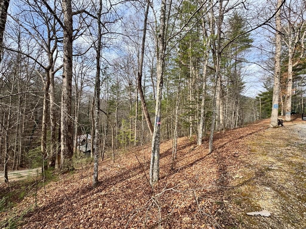 Lakeside Lot with Partial Views