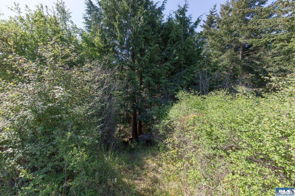 Picture 27