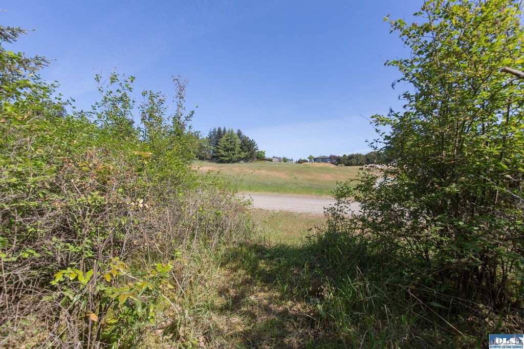 Picture 28
