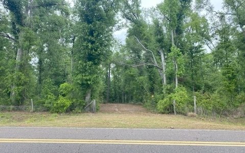Wooded Farmland Tract with Fencing