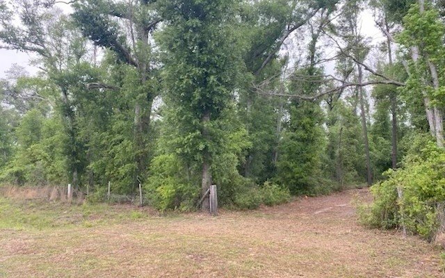 Picture 3