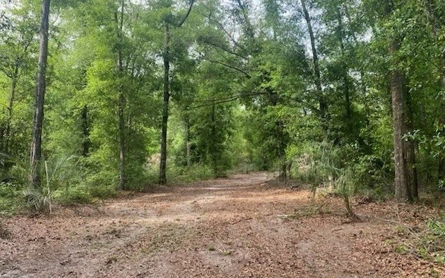 Picture 7