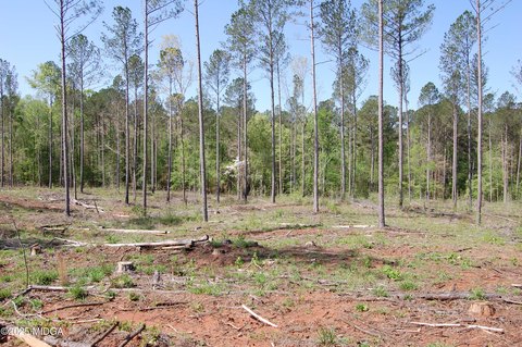 Forsyth, GA Land Tract