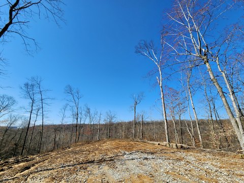 Agricultural Estate Lot with Multiple Homesites