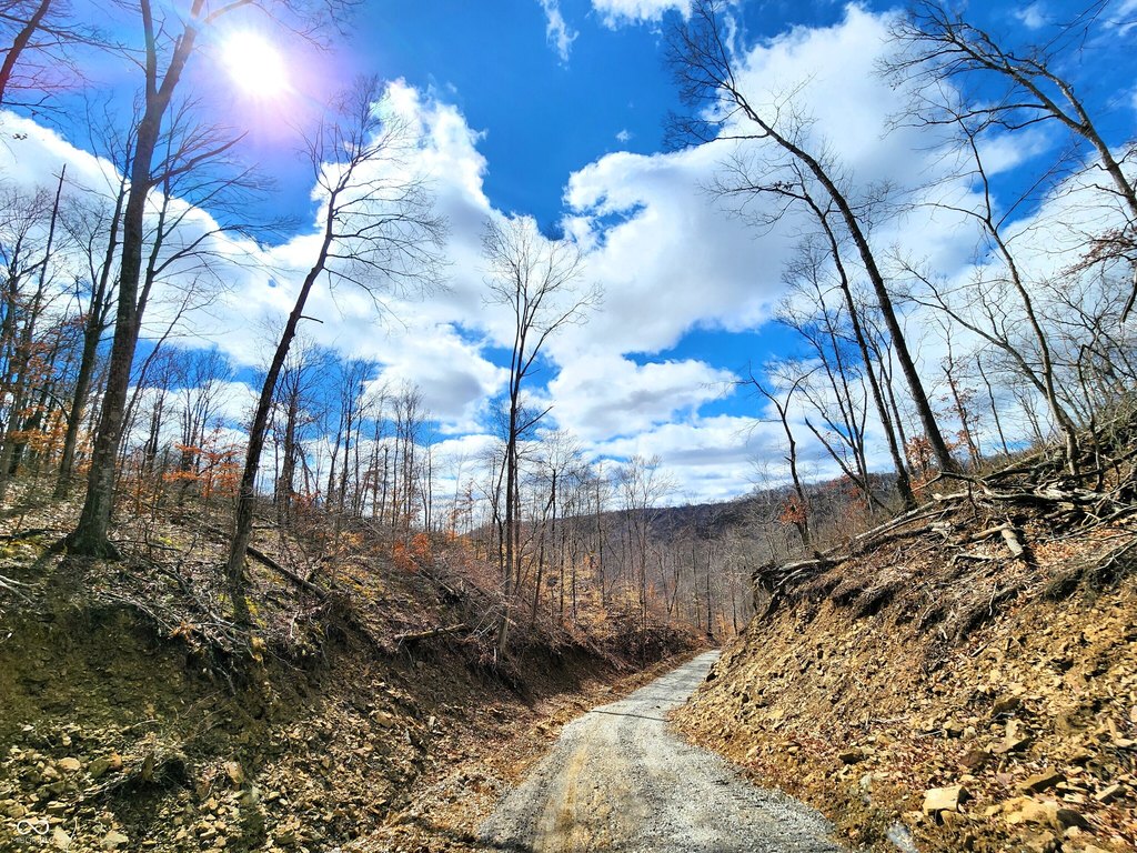 Picture 6