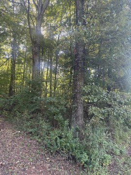 Vacant Lot, Ellijay, GA