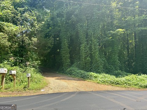 Land in Developing Braselton Area