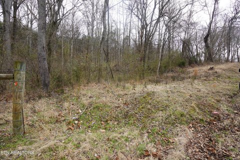 Residential Lot in Sparta, TN