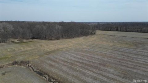 LAND - Ray Twp, MI