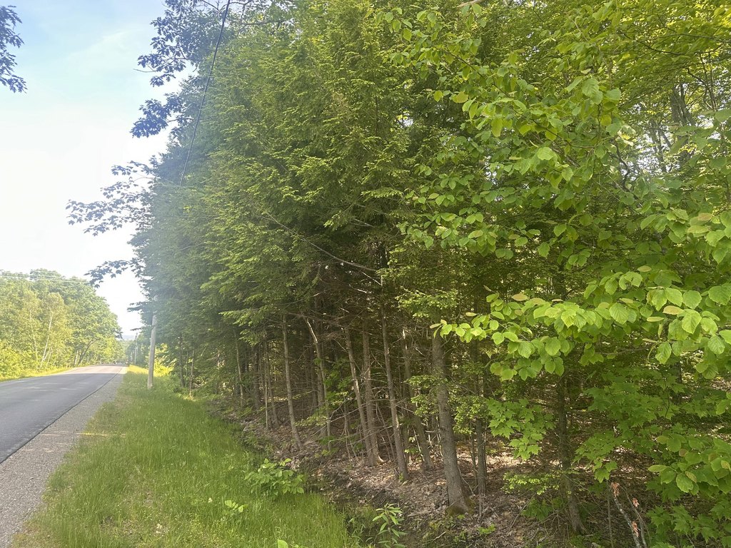 Picture 22