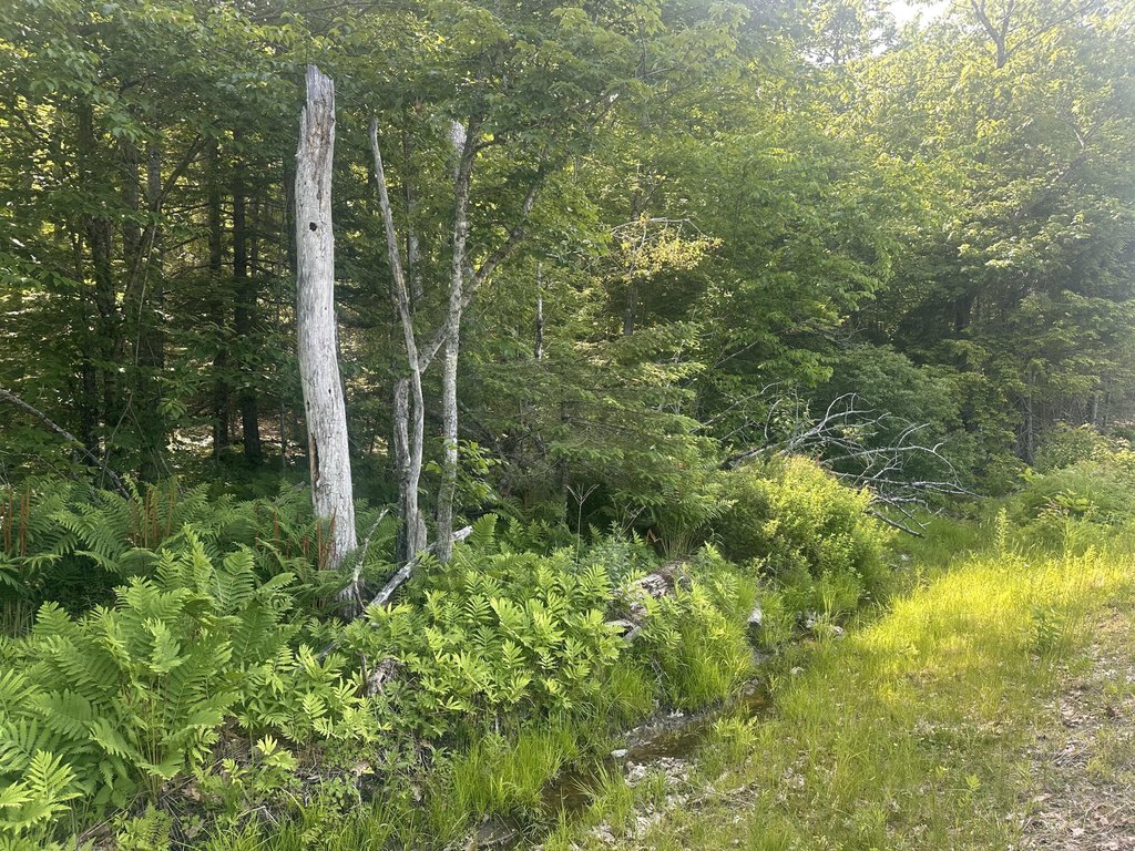 Picture 23