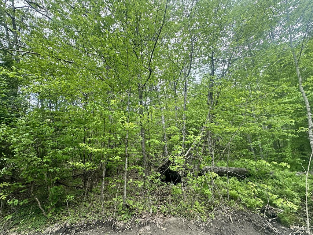 Picture 18