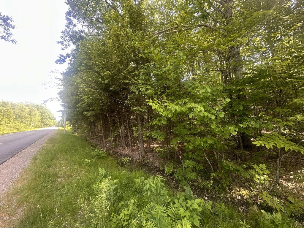 Picture 11
