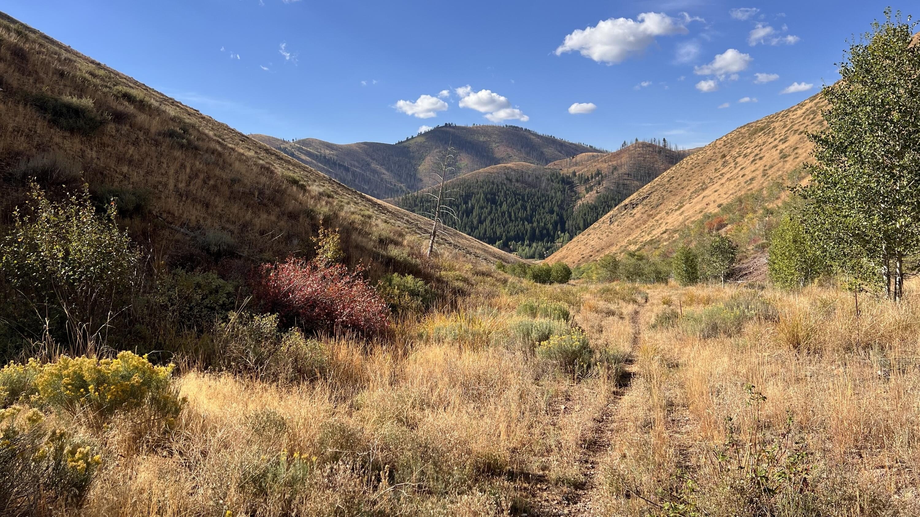 20 Acres in Blaine County