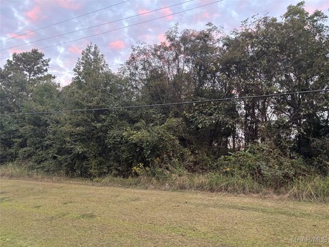 Land in Valley Grande, Alabama