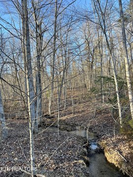 Crossville, TN Wooded Lot