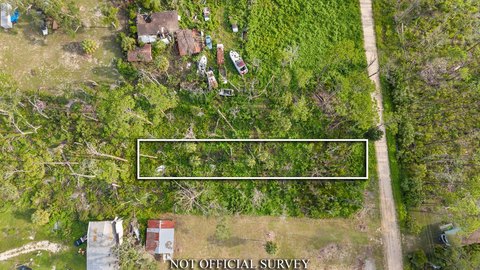 Land, Steinhatchee, FL