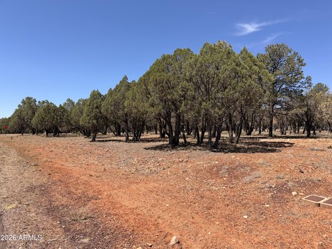 LAND - Overgaard, AZ