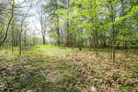 Wooded 4-Acre Parcel in Bridgman