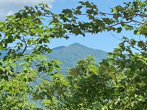 LAND - Andrews, NC