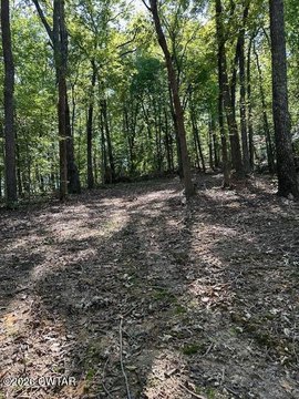 Camden, TN Land For Sale