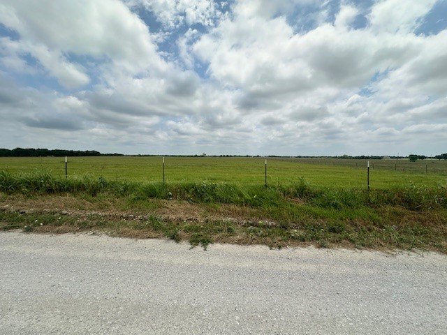 Picture 3