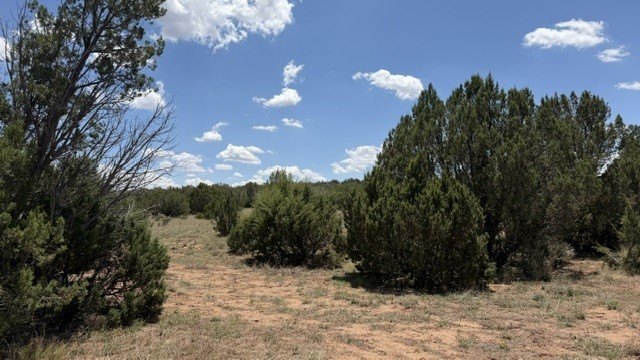 Picture 8