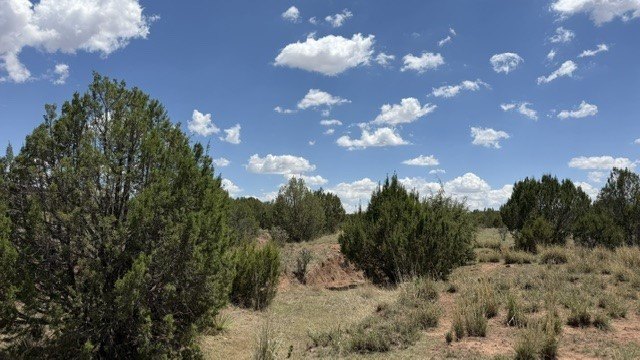 Picture 10
