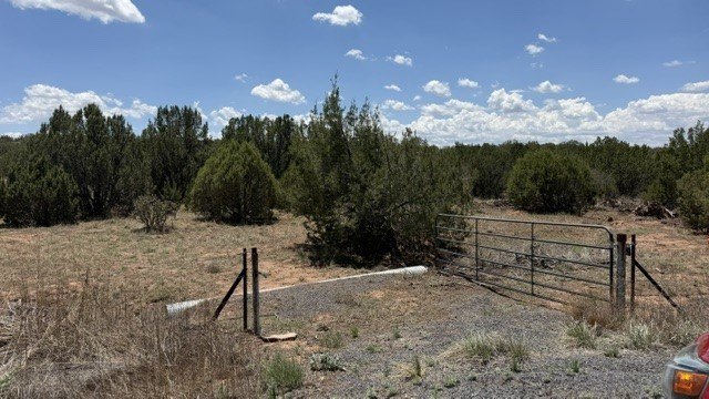 Picture 6