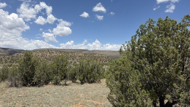 Picture 21
