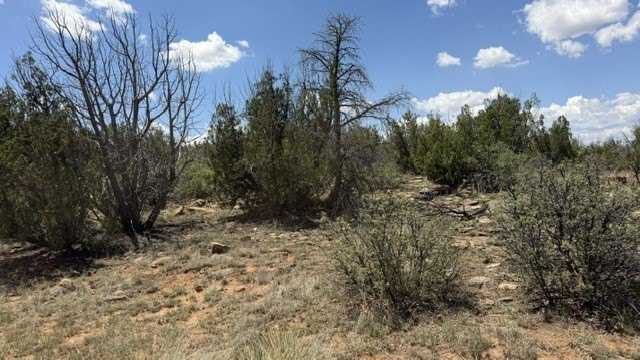 Picture 14