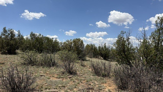 Picture 20