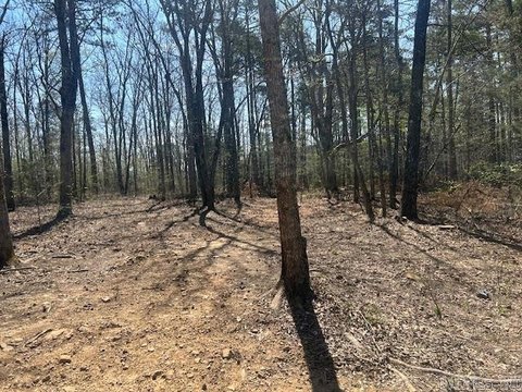 Land in Country Setting
