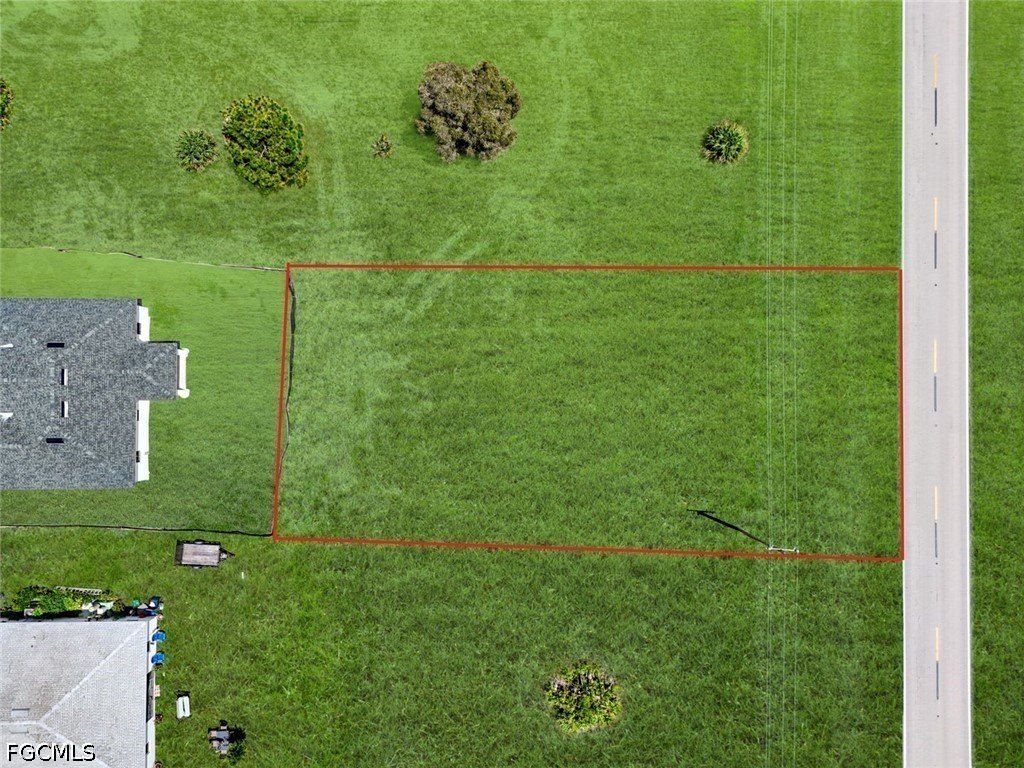 Picture 4