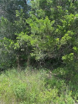 Land in Cade Lakes Subdivision