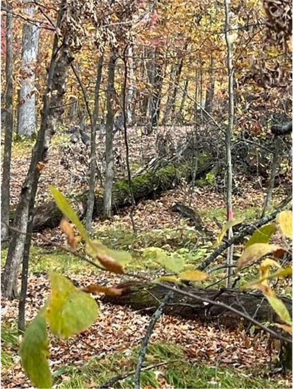 Picture 24