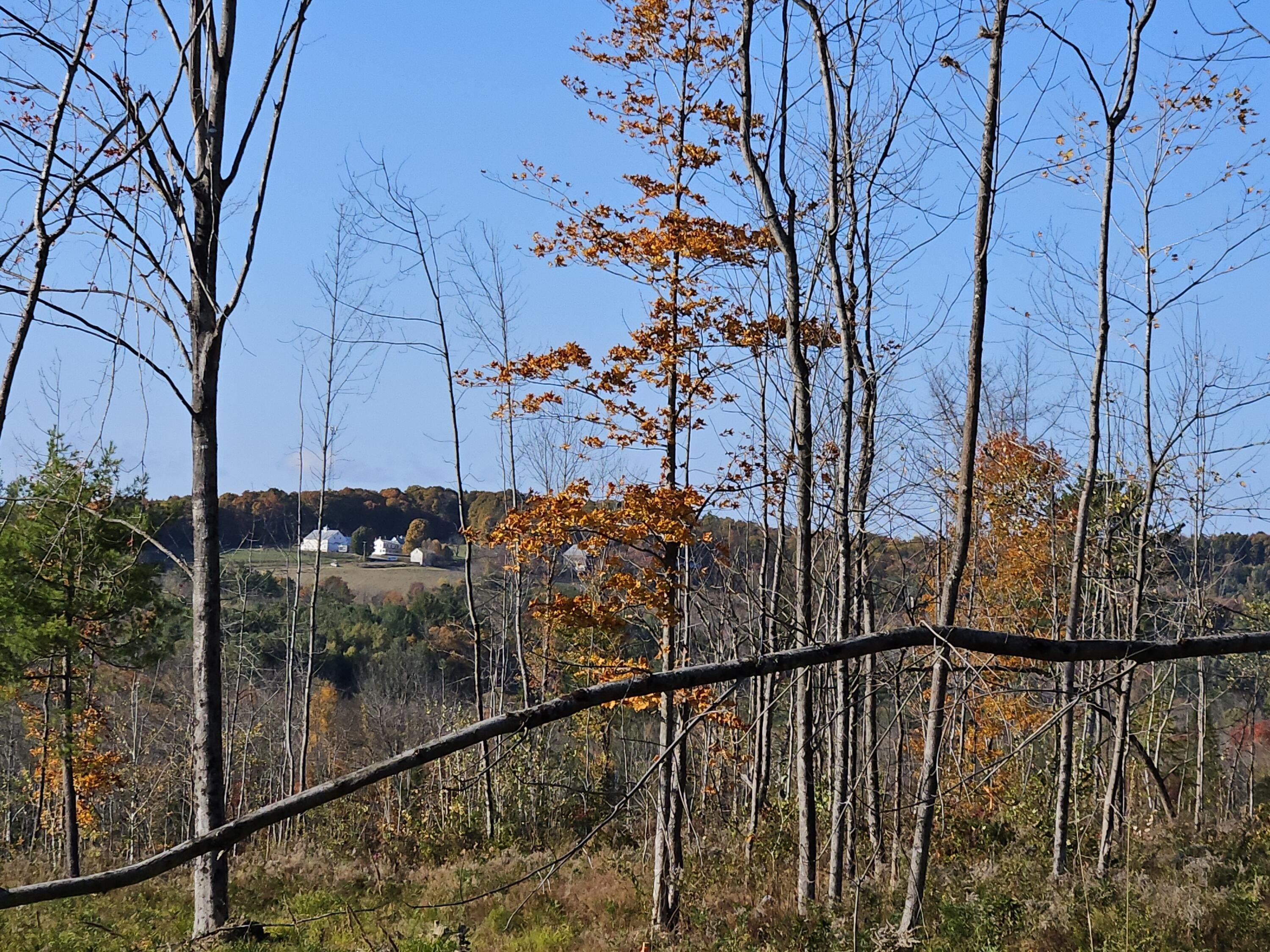 Farmington Land with Subdivision Approval