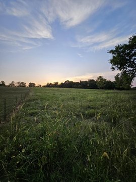 LAND - Mt Vernon, MO