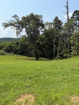 Land, Morristown, TN